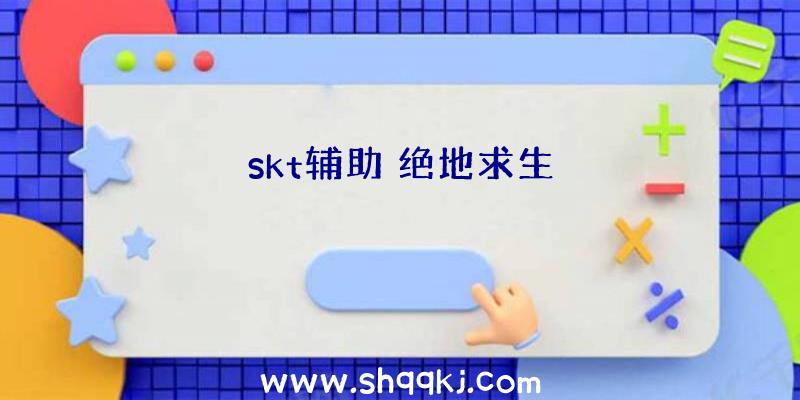 skt辅助